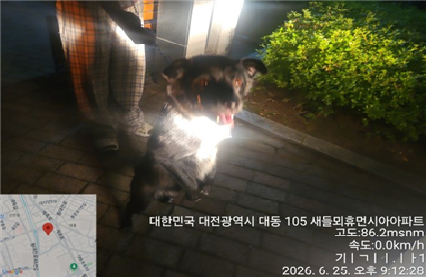 오정동 인근에서 보호 중인 믹스견 입양 정보
